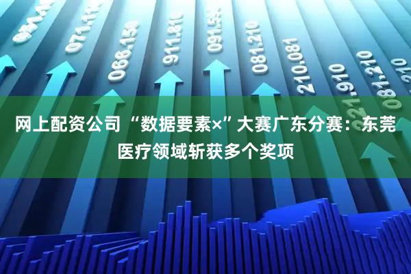 网上配资公司 “数据要素×”大赛广东分赛：东莞医疗领域斩获多个奖项