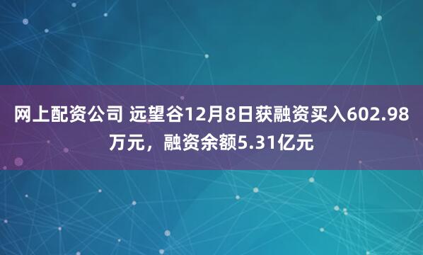 网上配资公司 远望谷12月8日获融资买入602.98万元，融资余额5.31亿元