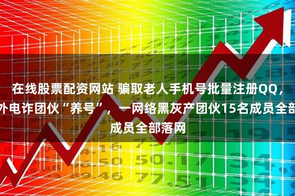 在线股票配资网站 骗取老人手机号批量注册QQ，为境外电诈团伙“养号”，一网络黑灰产团伙15名成员全部落网